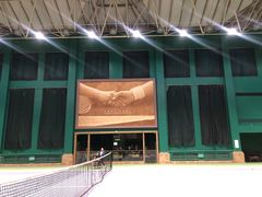 -齐动力网球(星河湾基地店)