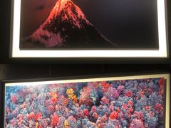 -罗红摄影艺术馆