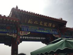 -白洋淀景区