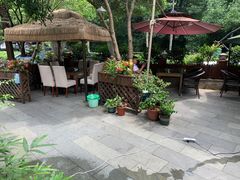-随意茶庄·地道杭帮农家菜(梅家坞店)