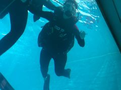 -上海潜殿潜水中心