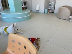 -怪兽屋·羊驼·猫咖·狗咖(俊华广场店)