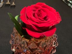 -圣丰索菲特·法国餐厅