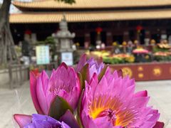 -光孝寺