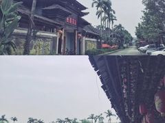-长洲岛