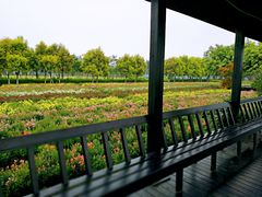 -广东花都香草世界旅游度假区