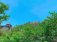 -老张烤羊(王哥庄店)