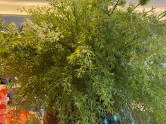 -徐记海鲜(大雁塔|金都店)