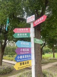 -前小桔亲子创意农场·草莓采摘·露营烧烤