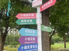 -前小桔亲子创意农场·草莓采摘·露营烧烤