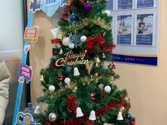 -乐博乐博少儿编程·机器人编程·信息学竞赛(杨浦五角场校区)