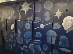 -同济大学四平路校区深海探索馆