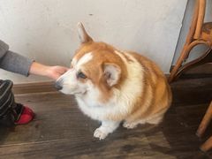 -肥朵食堂(带梦胡同店)