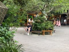 -青城甲(青城山店)