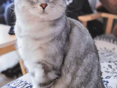 -平行世界·猫咖(首经贸店)