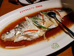 清蒸翘嘴白-丹江渔村(望京店)