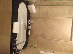 The&nbsp;Ritz-Carlton&nbsp;Guangzhou广州富力丽思卡尔顿酒店-广州富力丽思卡尔顿酒店