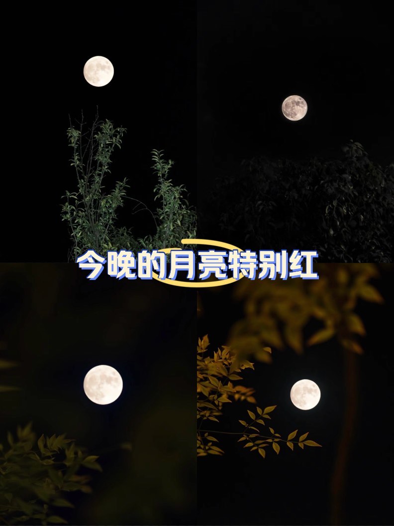 十六夜红月图片