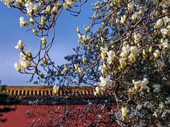 -北京市劳动人民文化宫(太庙)