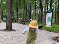 -黄海国家森林公园