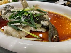 -海晖酒楼·顺德鱼生(荣华店)