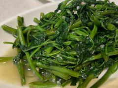 -拈菜(观音桥阳光世纪店)