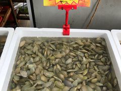 -蚝专家(北滘店)