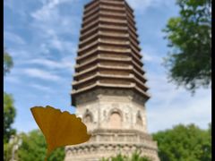 -玲珑塔公园