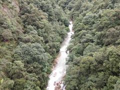 -九龙江国家森林公园