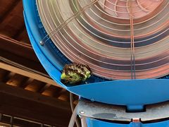 -雅鲁激流探险漂流