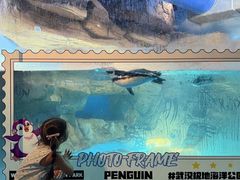 -海合安武汉极地海洋公园