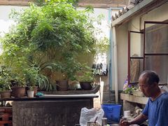 -路边小吃(临安春秋商业步行街店)