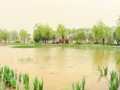 -绿堤公园