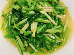 清炒水芹-吴中欢朋酒店-中餐厅