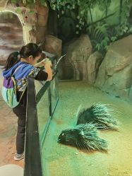 -酷嗒动物文化乐园(cutezoo西溪乐天城店)