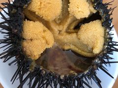 -海胆小馆(东北水饺·春柳店)