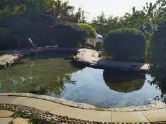-营口金泰珑悦海景大酒店