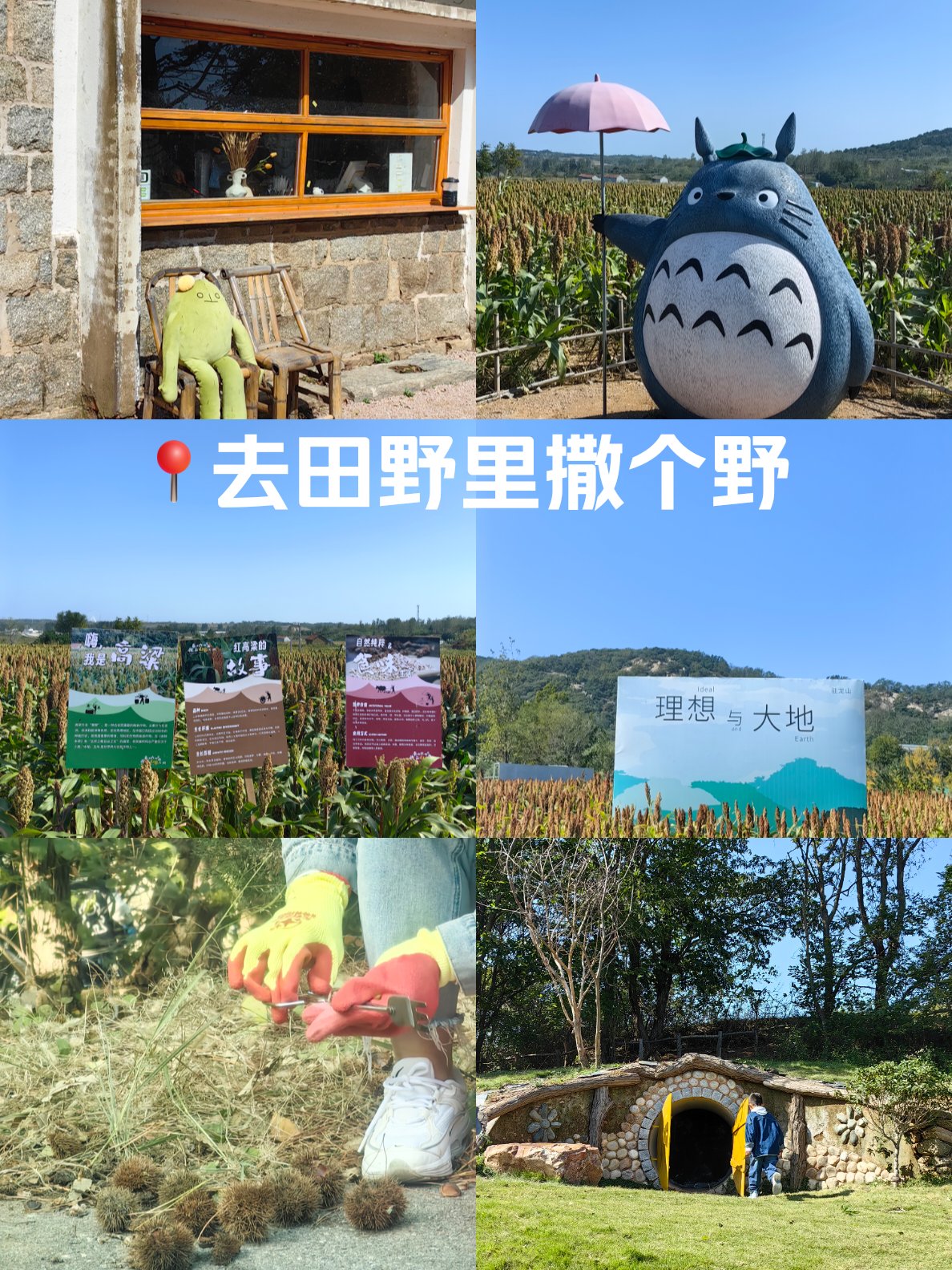 日照丝山门票图片