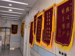 -中农国际动物医院24小时·猫科·骨科·急重症中心