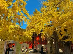 -承恩寺