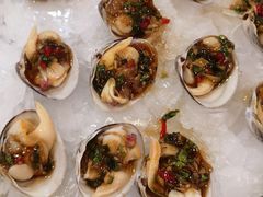 冰镇口水黄蚬子-渔娘渔家丹东海鲜(东直门店)