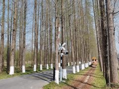 -黄海国家森林公园