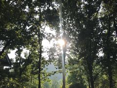 -杭州花家山庄