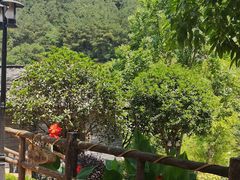 -楠柏弯休闲山庄(梨花溪店)