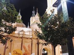 -皮拉尔圣母圣殿主教座堂