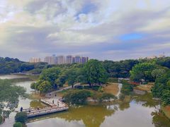-东莞植物园