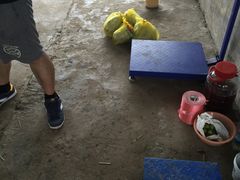 -马陆小张葡萄园农家乐