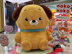 -金虹桥商场