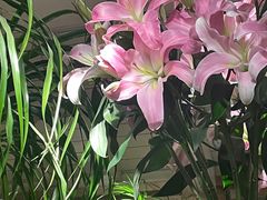 -春暖花开(西溪店)