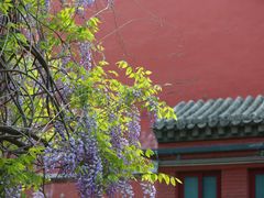 -北京市劳动人民文化宫(太庙)